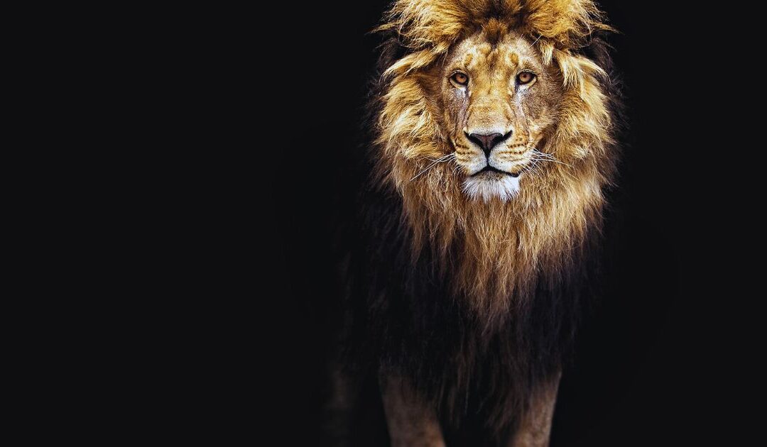 Neked is megvannak a „Zordonjaid” – és nem, nem az alapokkal van a baj! Ha van gyereked, pontosan tudni fogod, miről beszélek.